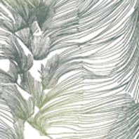 imprimé textile