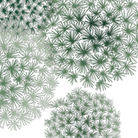 Pompons duveteux